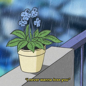 德阳密集柜厂家用小鲤营销导航
