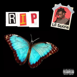 德阳密集柜厂家用小鲤营销导航
